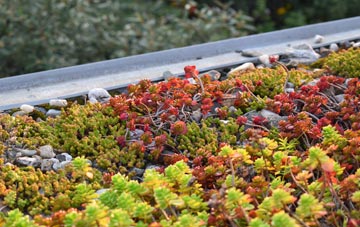 the cost of Dunmurry green roof installation